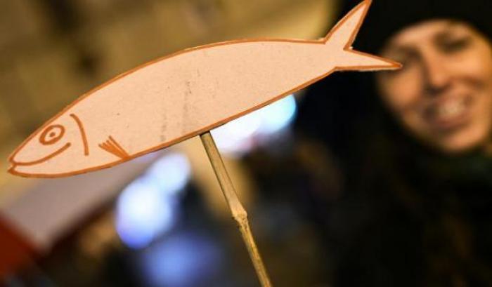 00054E89-sardine-a-trapani Sardine a Trapani