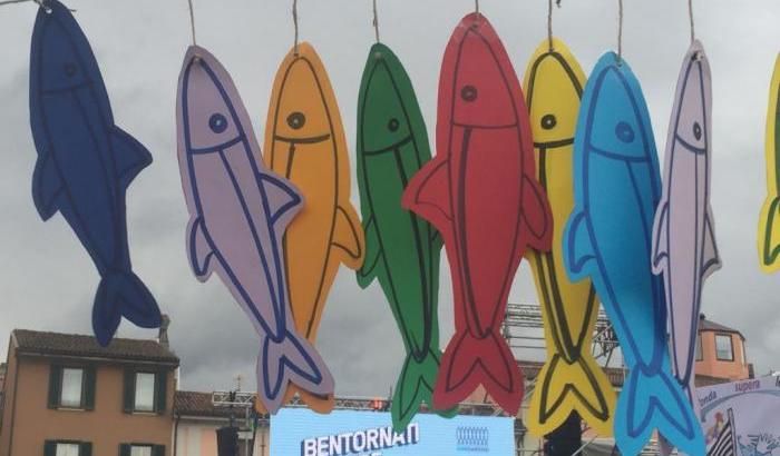 0005511D-le-sardine Le sardine