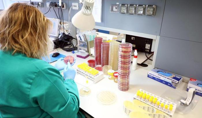 0005581E-coronavirus Coronavirus