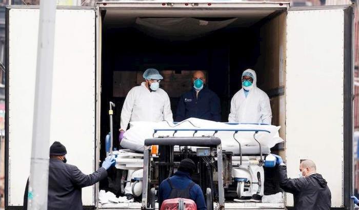 00055F8D-coronavirus Coronavirus