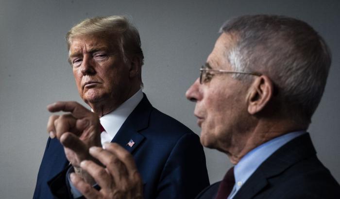 Trump e Fauci