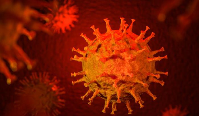 Coronavirus
