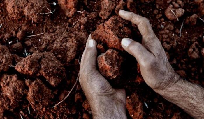 Il lavoro all'aperto nel settore agricoltura riprende vita