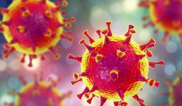 Uno studio conferma: "L'Eparina può neutralizzare Sars-Cov-2"