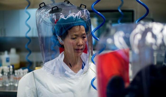 Shi Zhengli virologa cinese