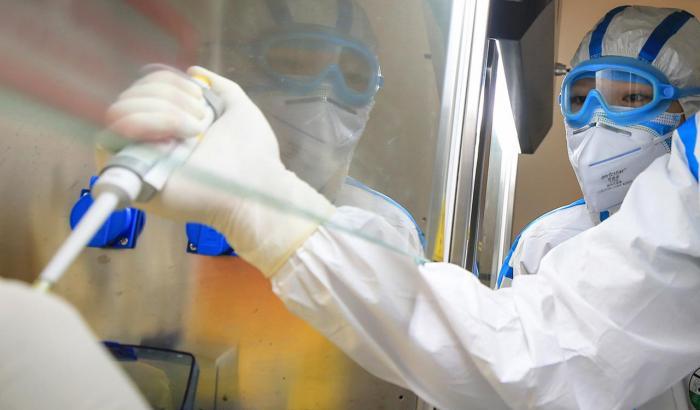 La scoperta del Cnr: un composto naturale uccide il Covid-19