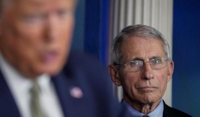 Fauci e Trump
