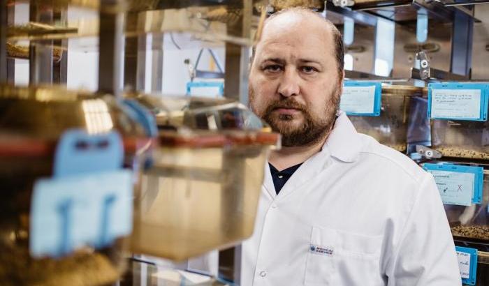 Denis Logunov, microbiologo russo