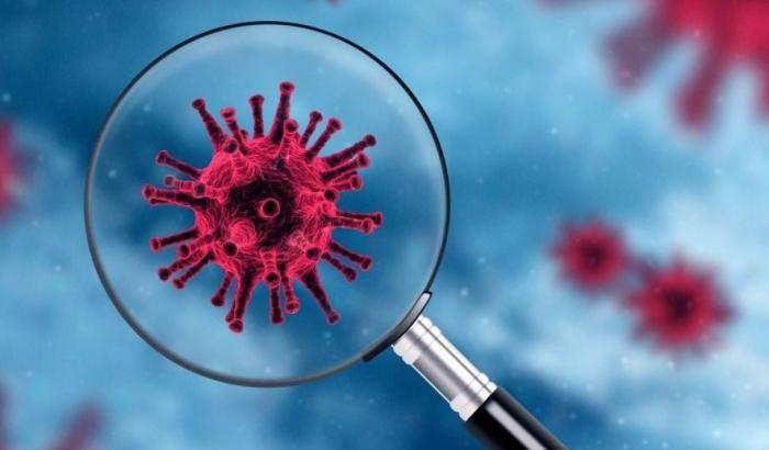 0005CF14-variante-ay-4-2 Variante AY.4.2