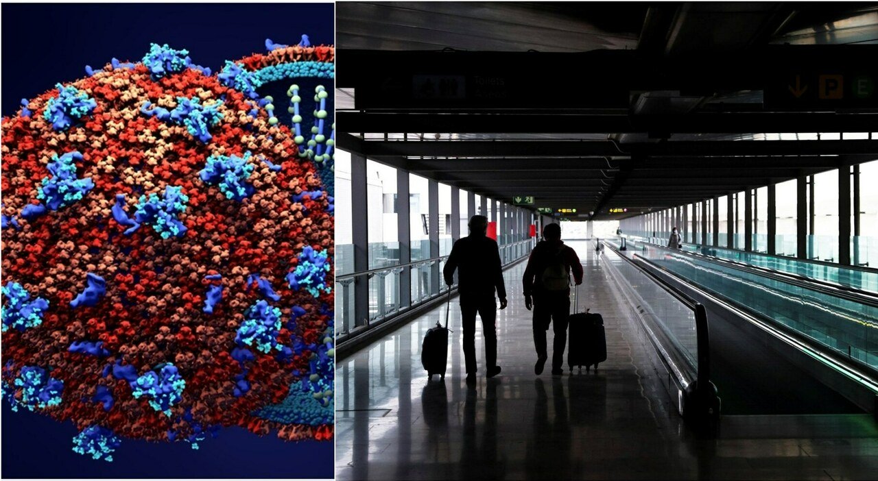 L'Europa si blinda contro la variante Omicron: "Rischio alto, è molto contagiosa"