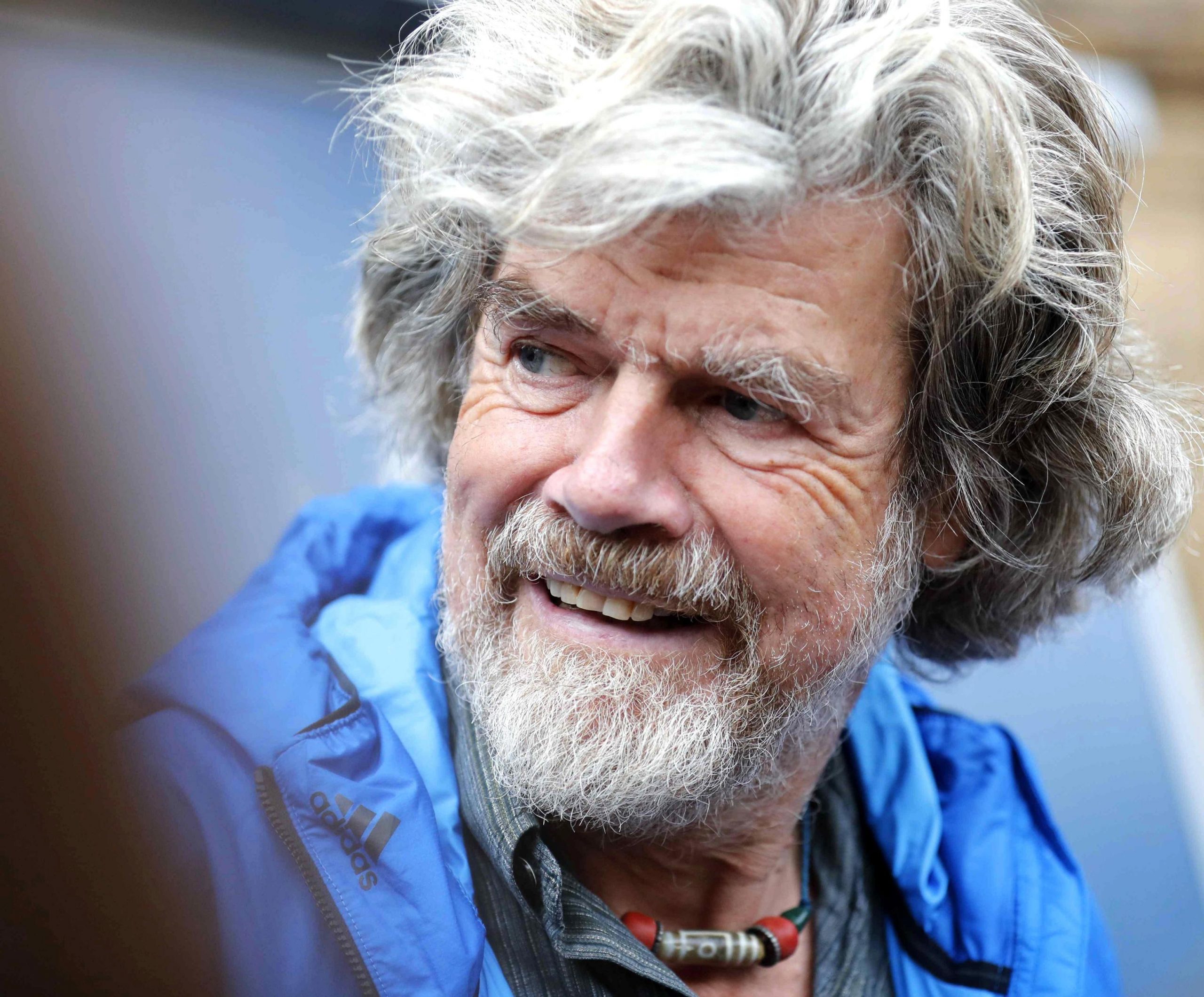 Trentino, Messner sull'abbattimento dell'orso M90: "Ce ne sono troppi, si potrebbero portare nei Carpazi"