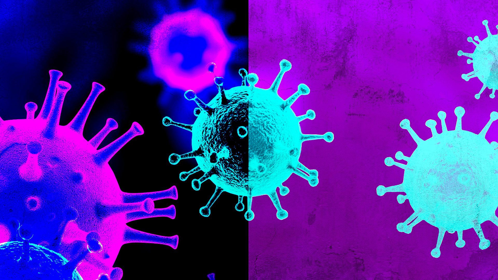 Accertato il primo caso di variante Omicron in Italia