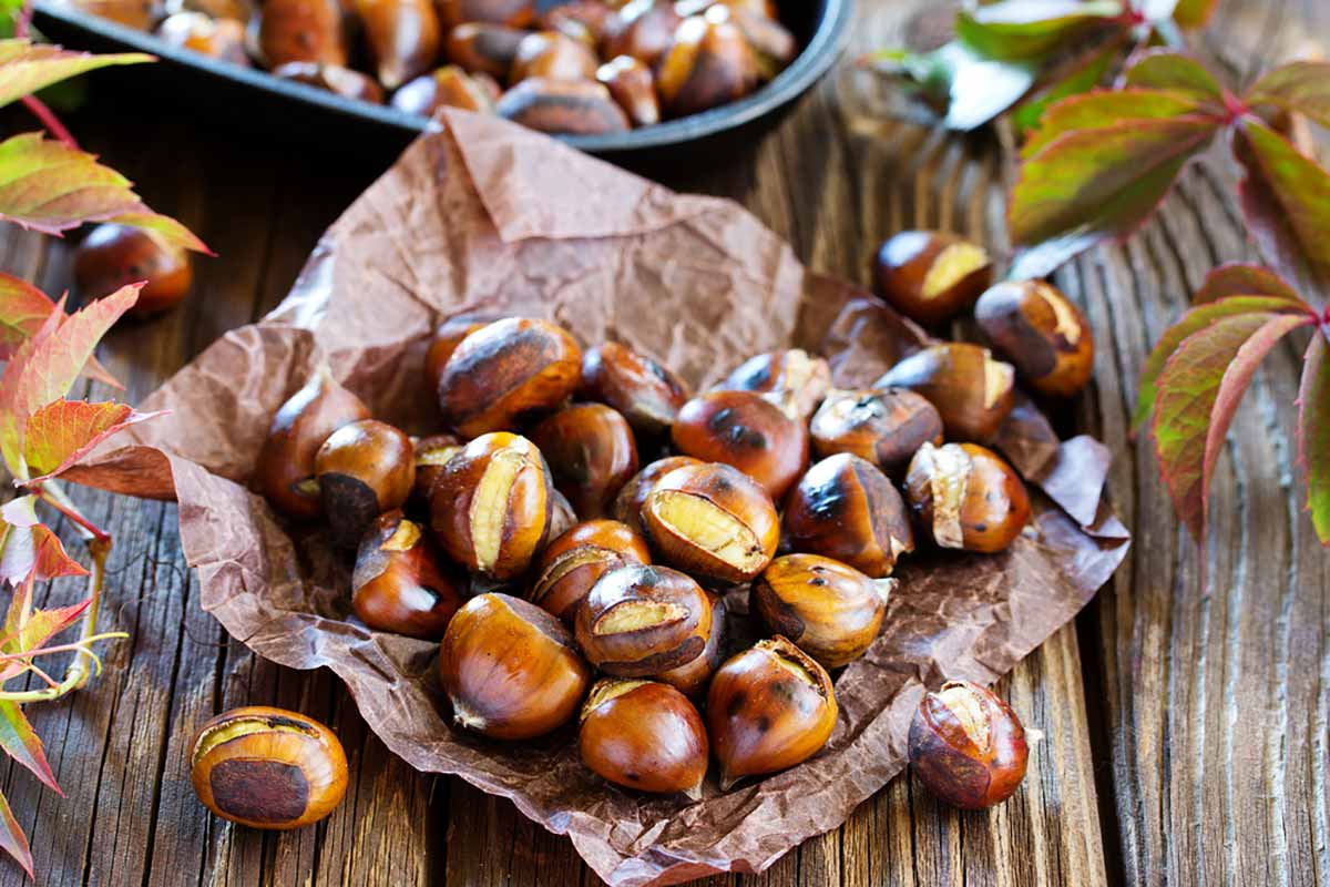 Le castagne aiutano ad abbassare l'indice glicemico: tutti i 'segreti' Le castagne aiutano ad abbassare l'indice glicemico: tutti i 'segreti'