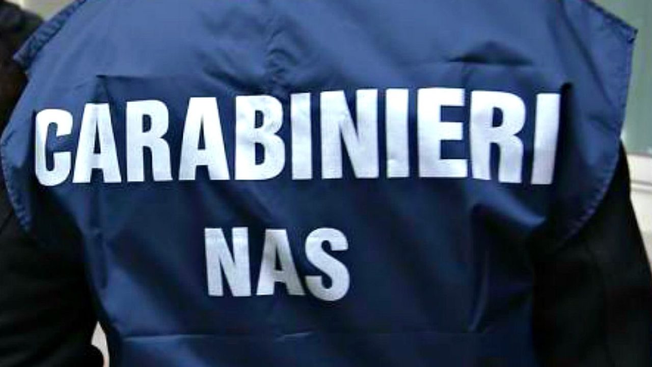 Covid, truffa falsi positivi: al via i controlli dei Nas nel nord Italia Covid, truffa falsi positivi: al via i controlli dei Nas nel nord Italia