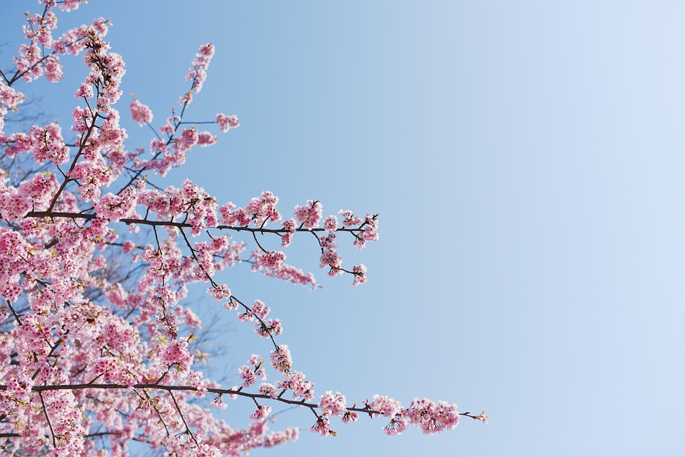 meteo-pasquetta Il meteo di Pasquetta: ecco che tempo farà lunedì 17 aprile