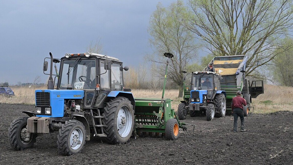 Ucraina, i bombardamenti non fermano la semina. La Fao: "In pericolo la sicurezza alimentare"