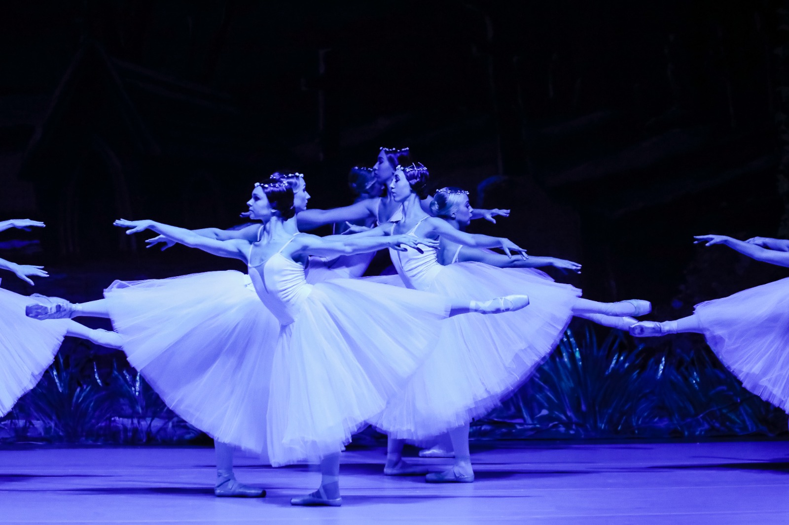 Ucraina, Ciajkovskij bandito dall'Ukrainian Classical Ballet: "Autore immenso, ma per ora non abbiamo scelta"