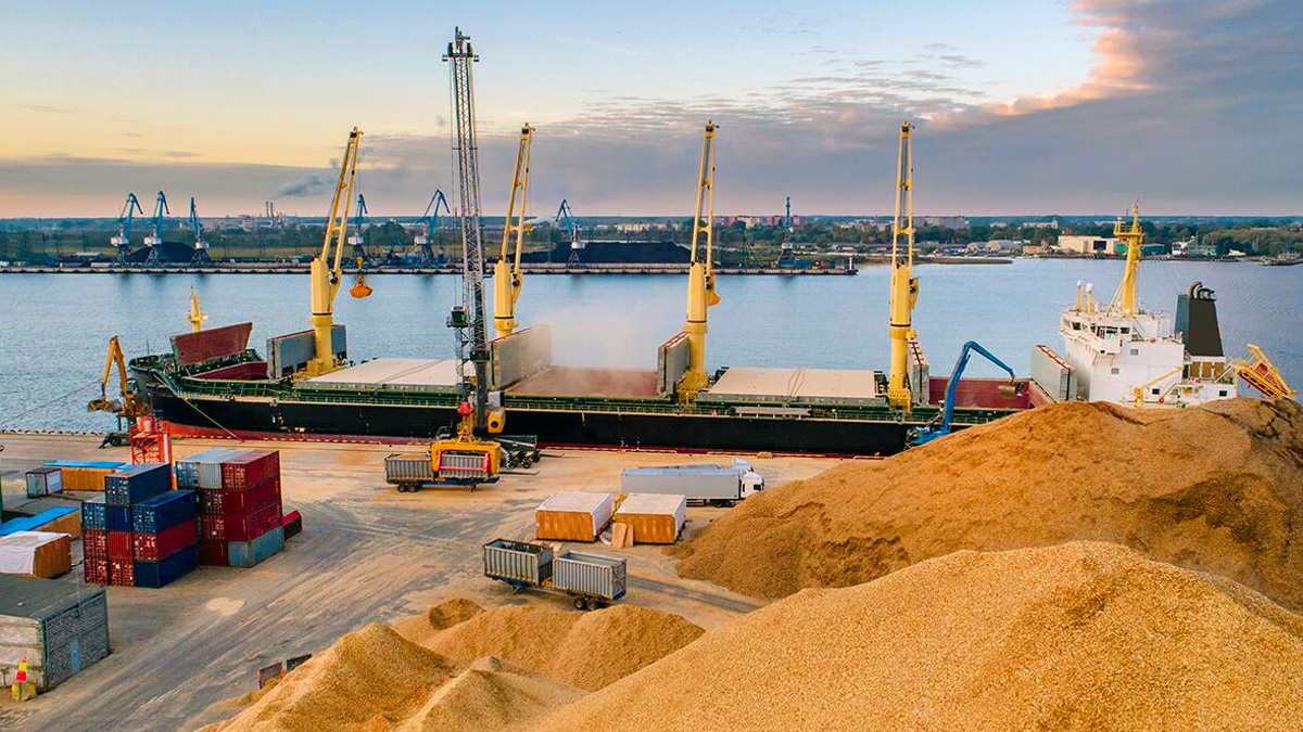 Ucraina, ecco i 6 porti fondamentali per sbloccare il grano ed evitare una carestia mondiale