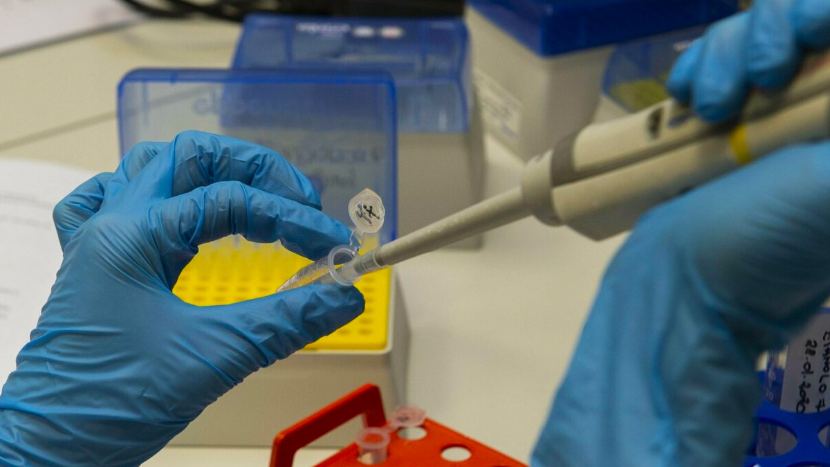 Vaiolo delle scimmie, le esperte Oms: "In Africa circola da decenni, è triste accorgersene solo ora"