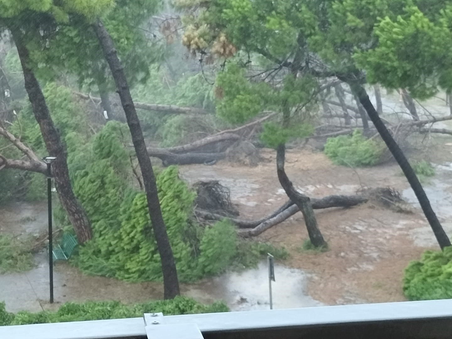 Toscana La bufera in Toscana è stata un ulteriore ammonimento non “un sogno di mezza estate”