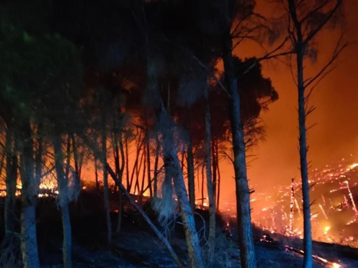 b-kvvF-U4610055507920109E-1224×916@CorriereMezzogiorno-Web-Mezzogiorno Sant'Agata di Puglia, l'incendio non si ferma: in fumo oltre 50 ettari di bosco