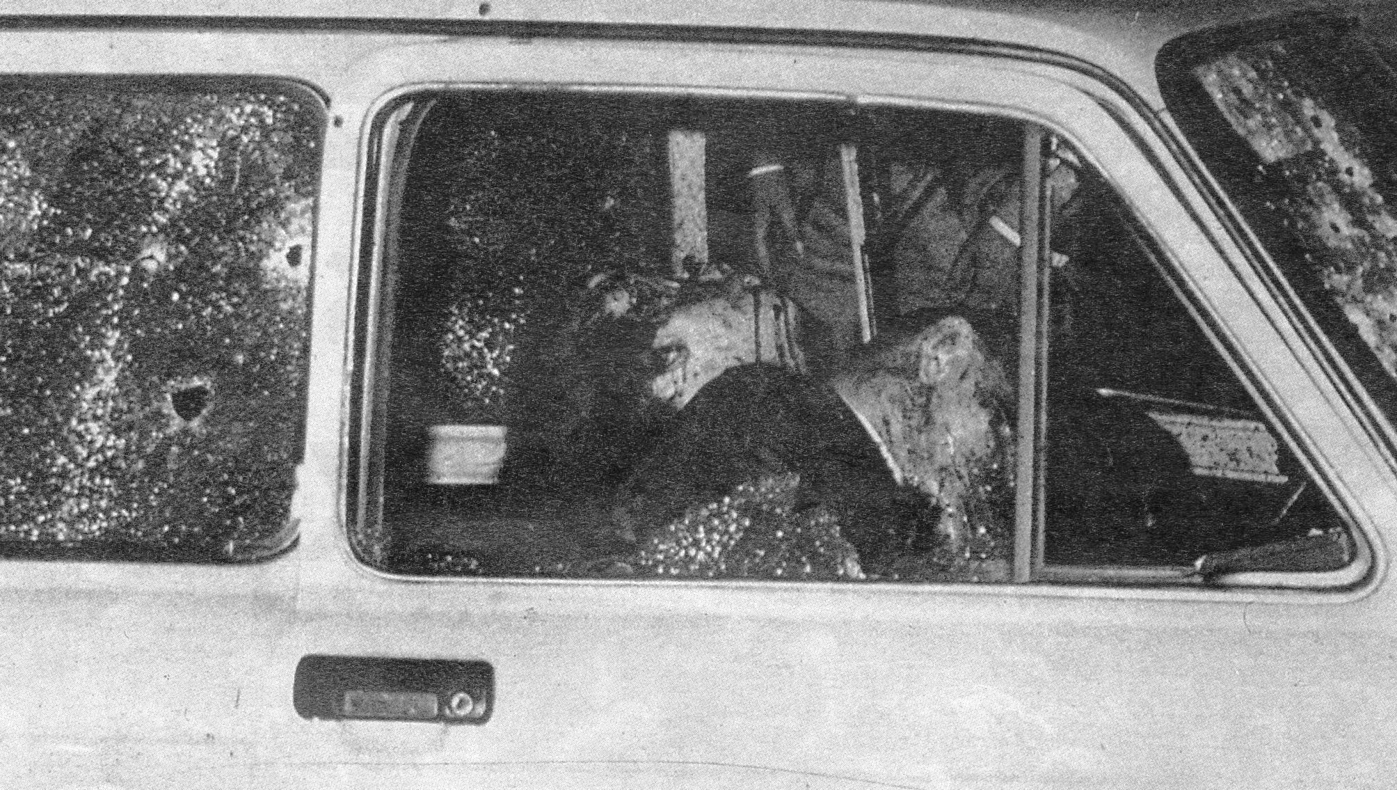 Mattarella ricorda Dalla Chiesa: "Un eroe la cui memoria sopravvive in chi vuole la legalità e una società più giusta" Mattarella ricorda Dalla Chiesa: "Un eroe la cui memoria sopravvive in chi vuole la legalità e una società più giusta"