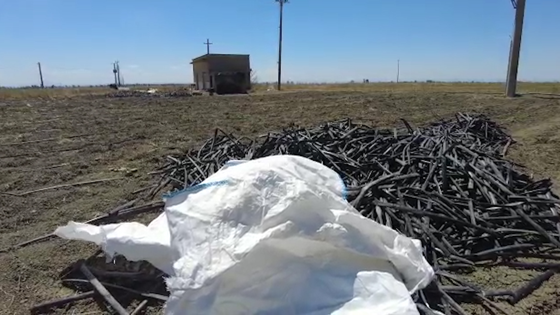 foggia-omicidio-padre-figlio Uccise padre e figlio per soldi: "Sono pentito, preferivo morire io"