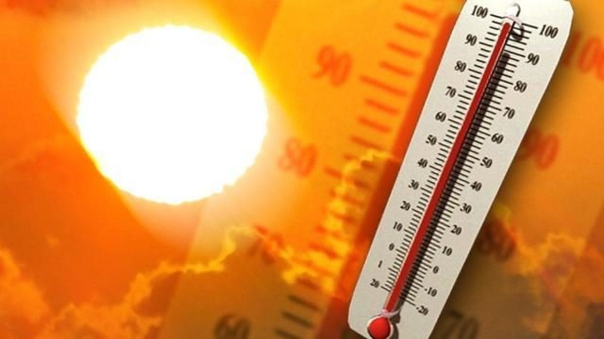Clima, l'Onu: "La prima settimana di luglio è stata la più calda mai registrata nel pianeta" Clima, l'Onu: "La prima settimana di luglio è stata la più calda mai registrata nel pianeta"
