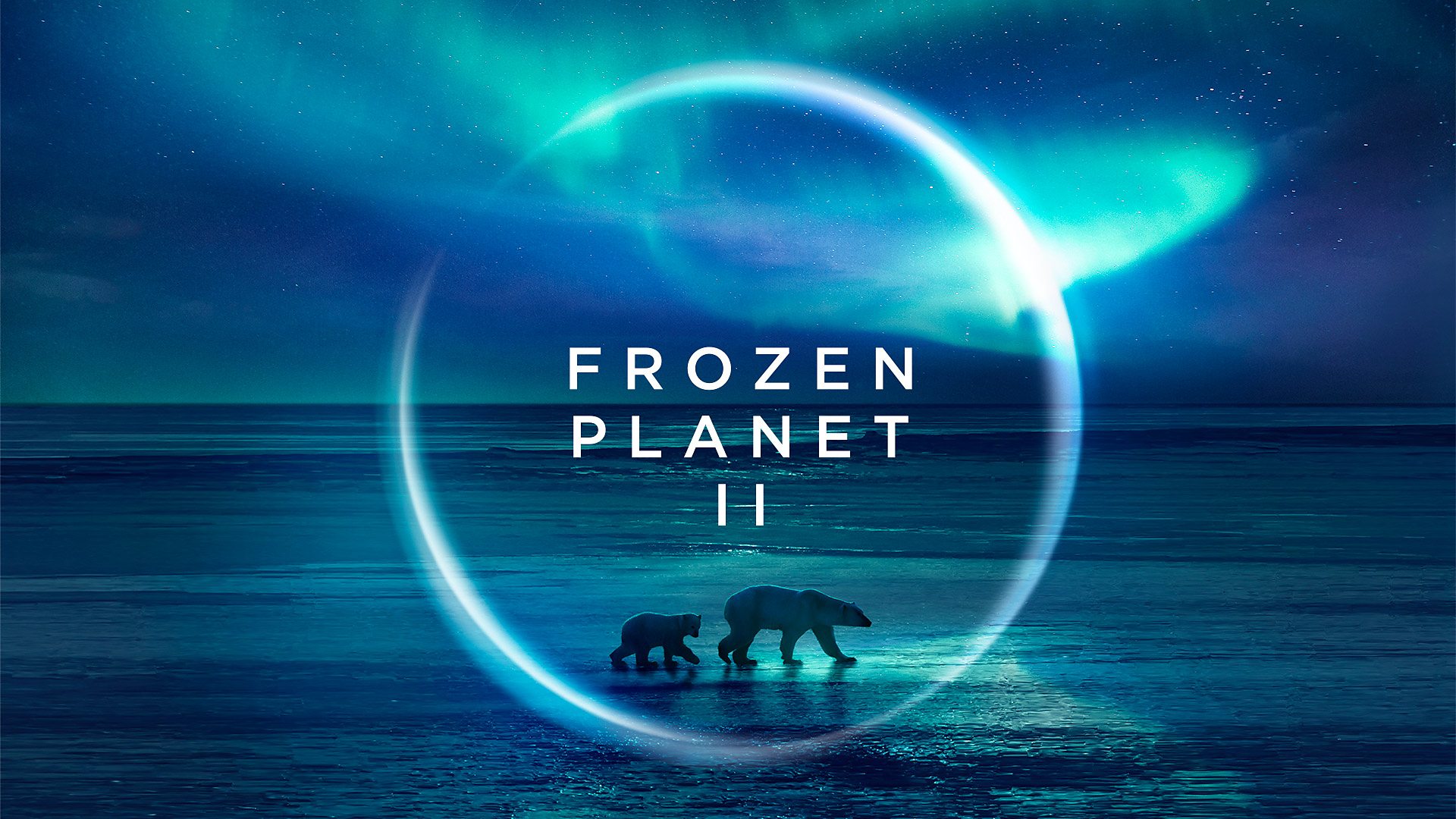 frozen-planet-2 "Frozen Planet II", alle 21.30 su Rete 4 l'episodio 3 e 4: ecco le anticipazioni