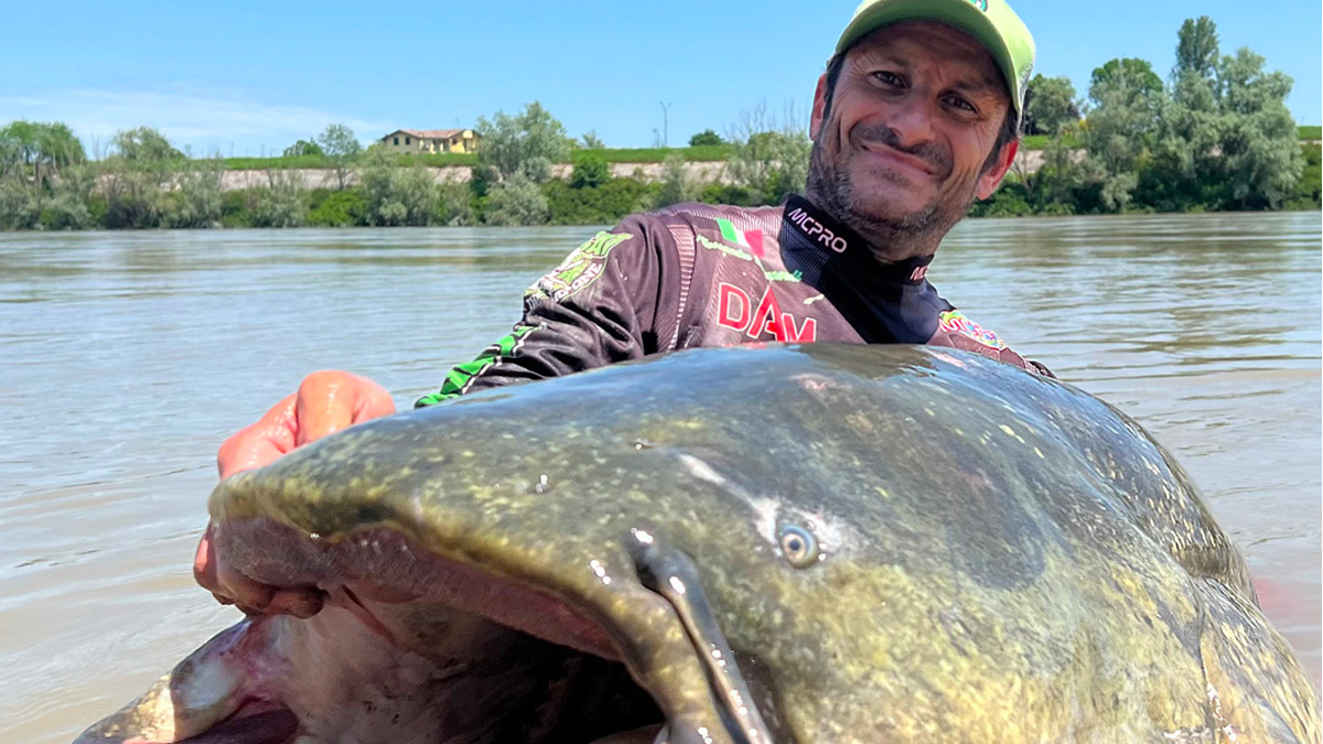 Fiume Po, cattura un pesce siluro lungo 3 metri (e poi lo libera): ecco la pesca record
