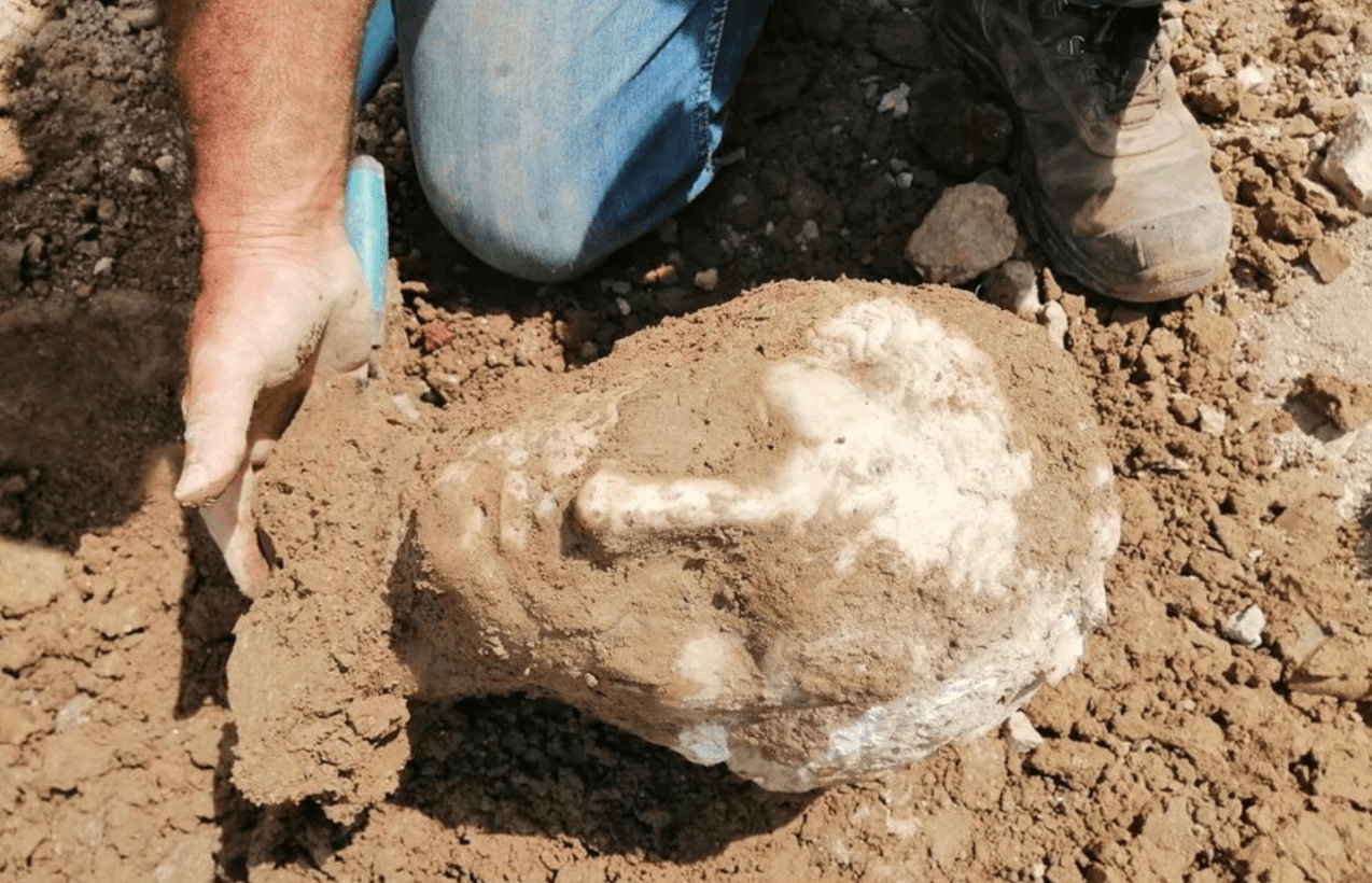 Roma: scoperta una testa in marmo negli scavi a Piazza Augusto Imperatore