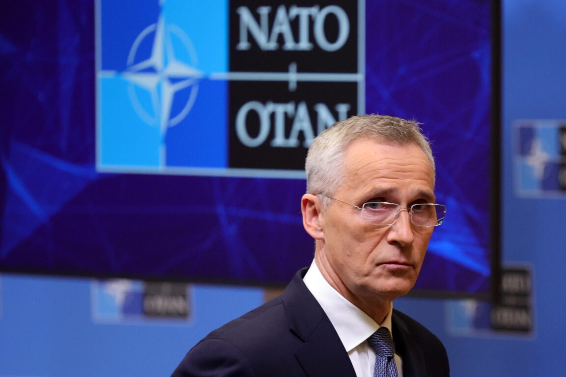 Stoltenberg: "Ucraina deve poter usare le armi Nato per colpire obiettivi militari in Russia"