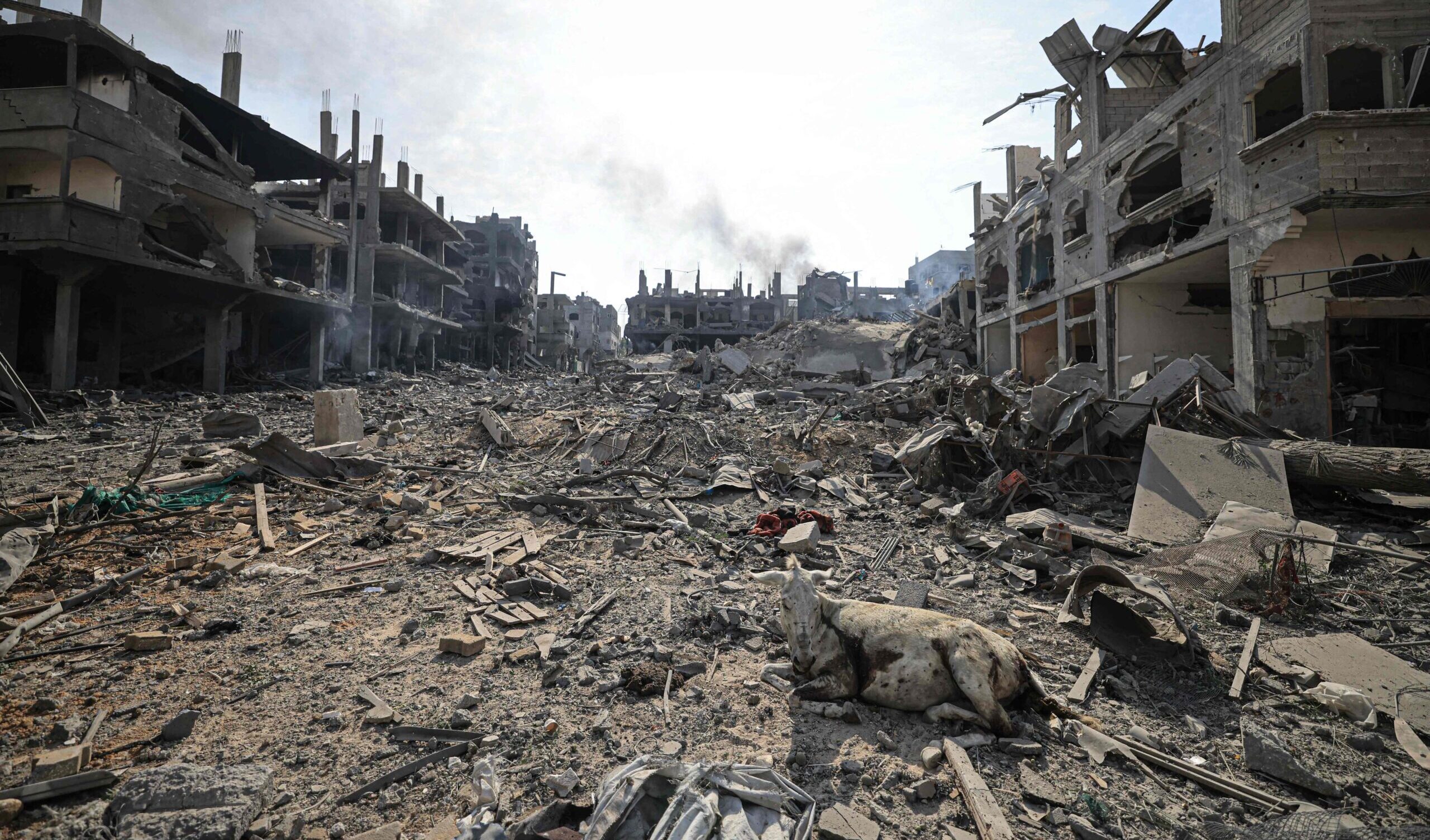 La cooperante italiana: "A Gaza ospedali al collasso, siamo impotenti" La cooperante italiana: "A Gaza ospedali al collasso, siamo impotenti"