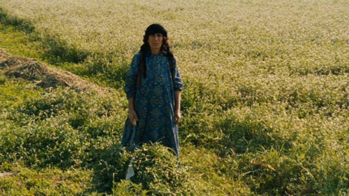 Immagine2 Tra cornici e barriere: la lotta dei direttori iraniani per la difesa della libertà artistica