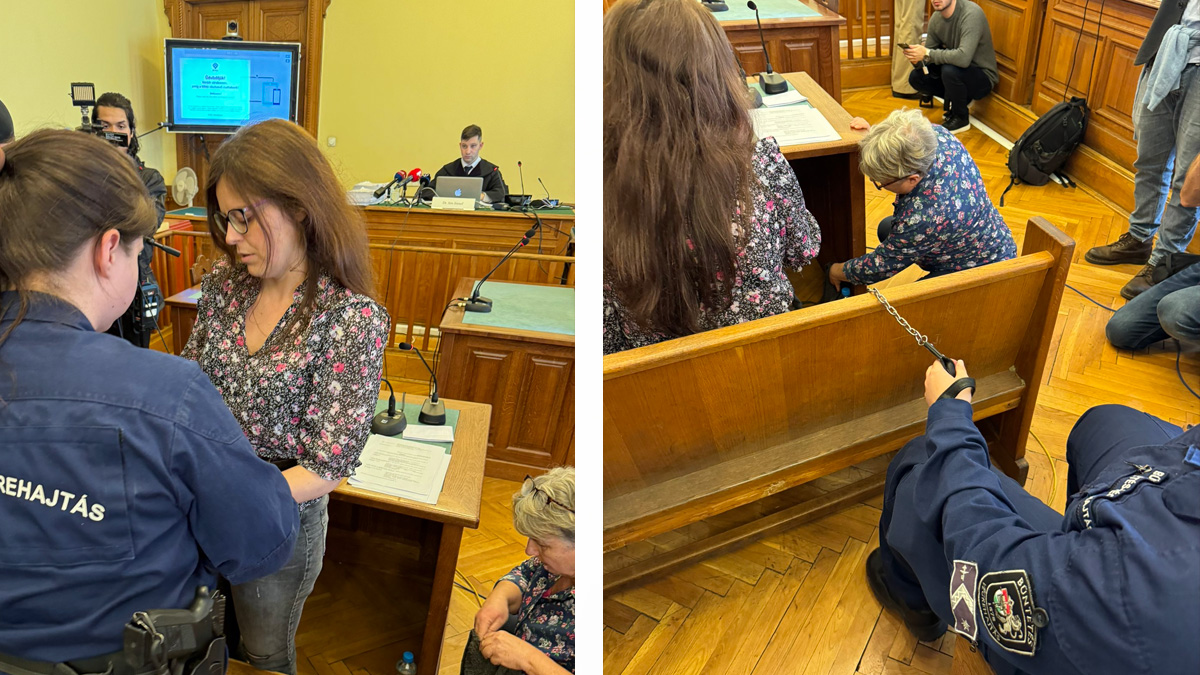 Ilaria Salis in manette in tribunale, le reazioni della politica: "Orban criminalizza l'antifascismo"