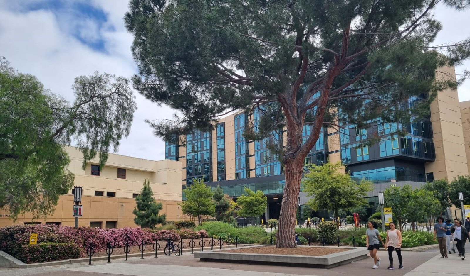 Un mondo colorato e variopinto: il campus universitario di Irvine e la sua armonia multiculturale