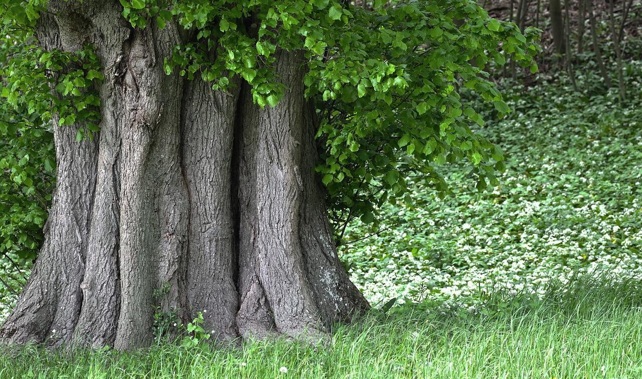 Scandalizzarsi fa bene, ma anche scandalizzare può essere utile