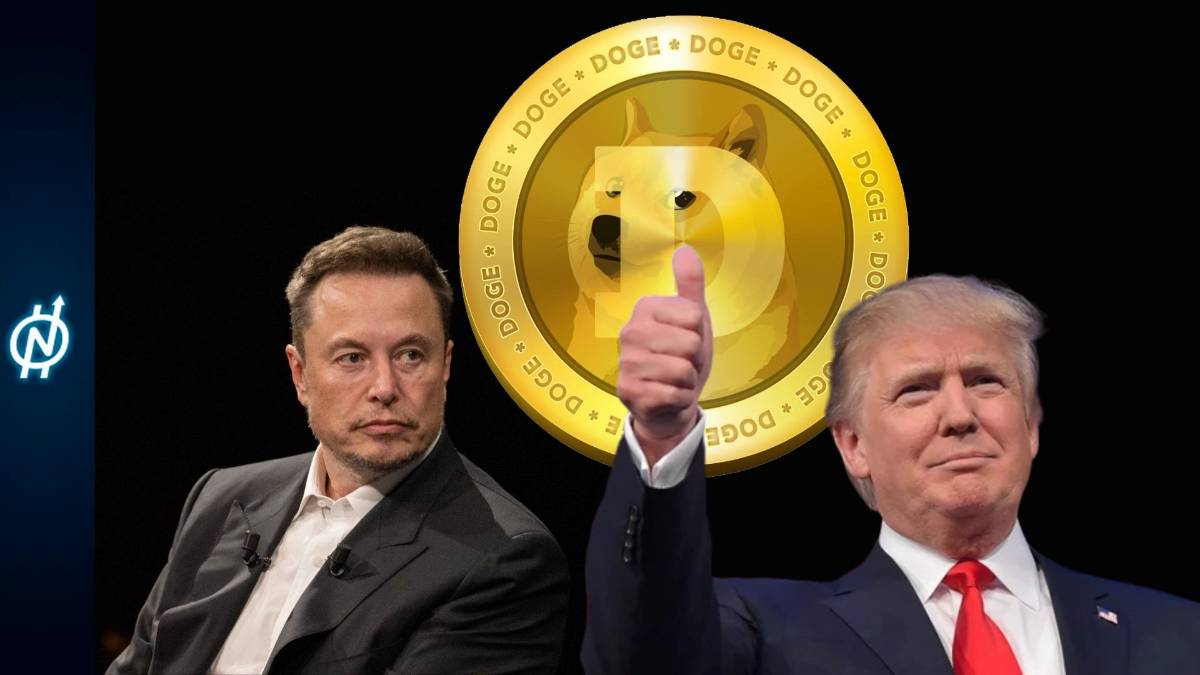 Doge Elon Musk e il Doge: efficienza al gusto di meme