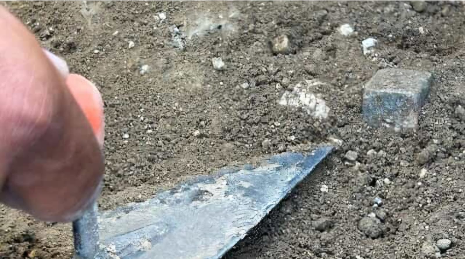 WhatsApp Image 2024-11-09 at 12.05.37 La scoperta: nell'antica Akràgas si giocava a dadi