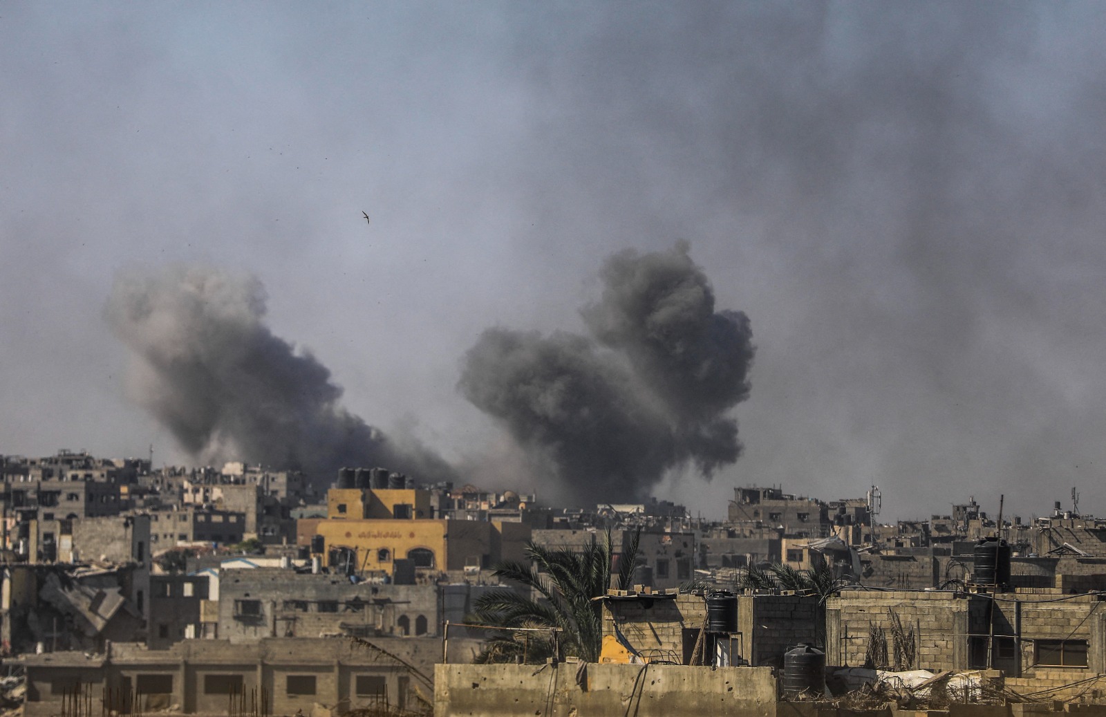 Israele spara contro un minibus: uccisi undici componenti della stessa famiglia