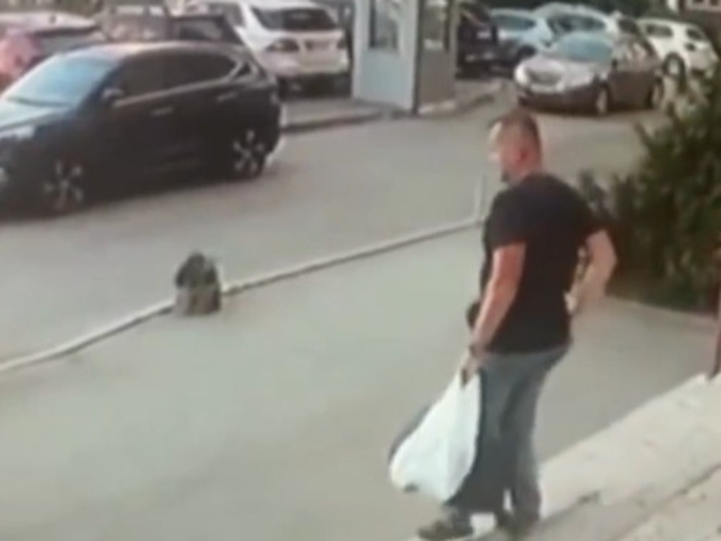 Il gruppo neonazista ‘The Base’, protetto in Russia, rivendica attentati e omicidi a Kyiv