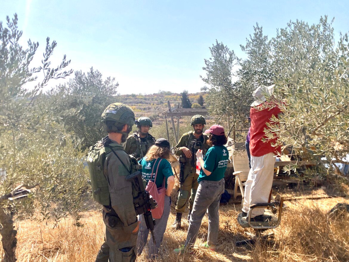 Coloni israeliani di estrema destra distruggono campi e sistemi d’irrigazione nella Valle del Giordano