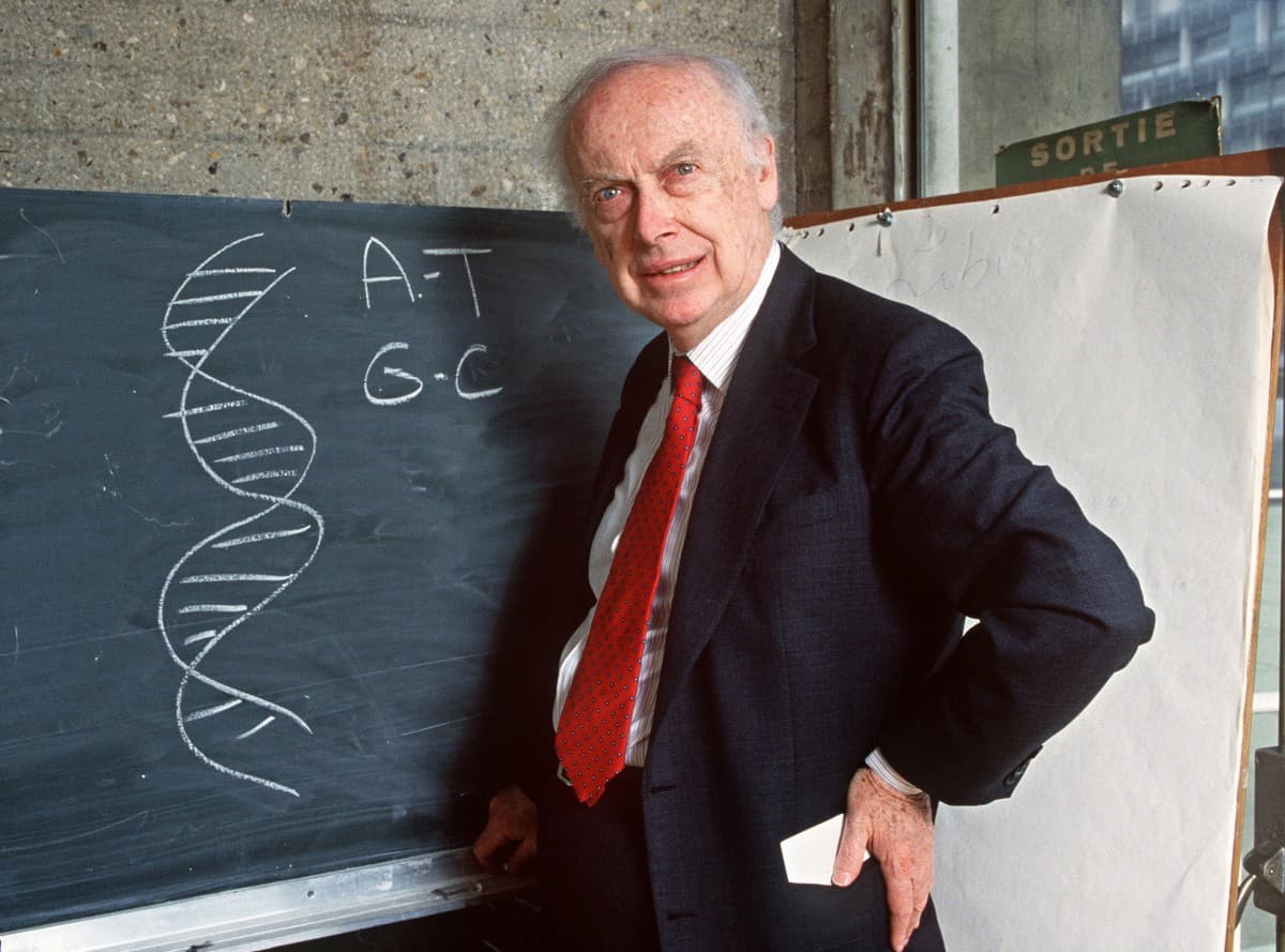 Addio a James Watson, aveva creato il modello della doppia elica del Dna