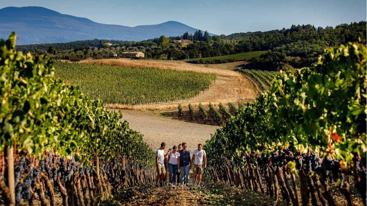 Eno-turismo in crescita: come il Brunello di Montalcino favorisce l’economia toscana
