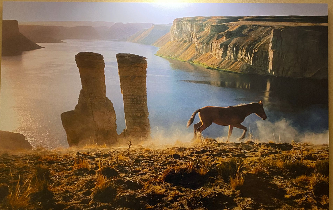 Steve McCurry a Palazzo Pigorini: l’intimità del mondo nello sguardo di un maestro