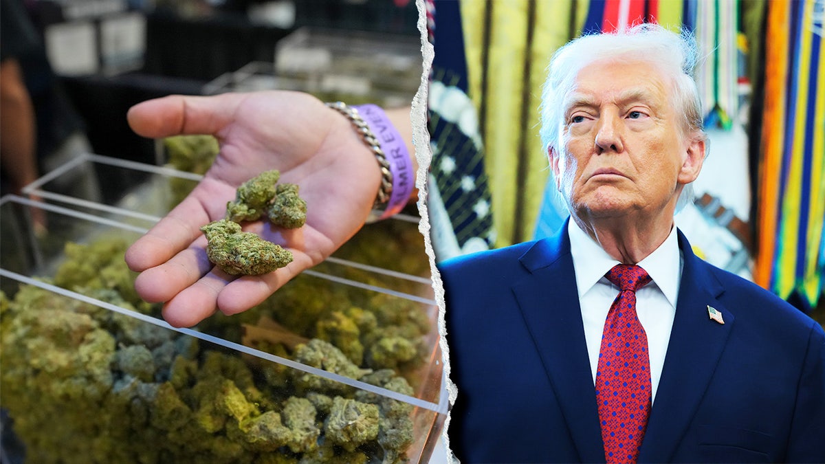 Trump riclassifica la marijuana: non è più considerata al pari dell'eroina Trump riclassifica la marijuana: non è più considerata al pari dell'eroina