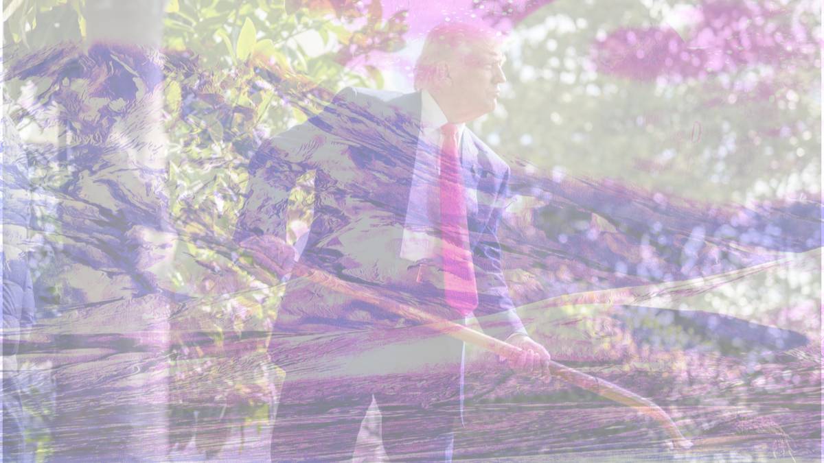 Grey and White Aesthetic Modern Minimalist Food Things Photo Collage Trump vuole la Groenlandia per ritrovare la bomba smarrita e così meritarsi il Nobel