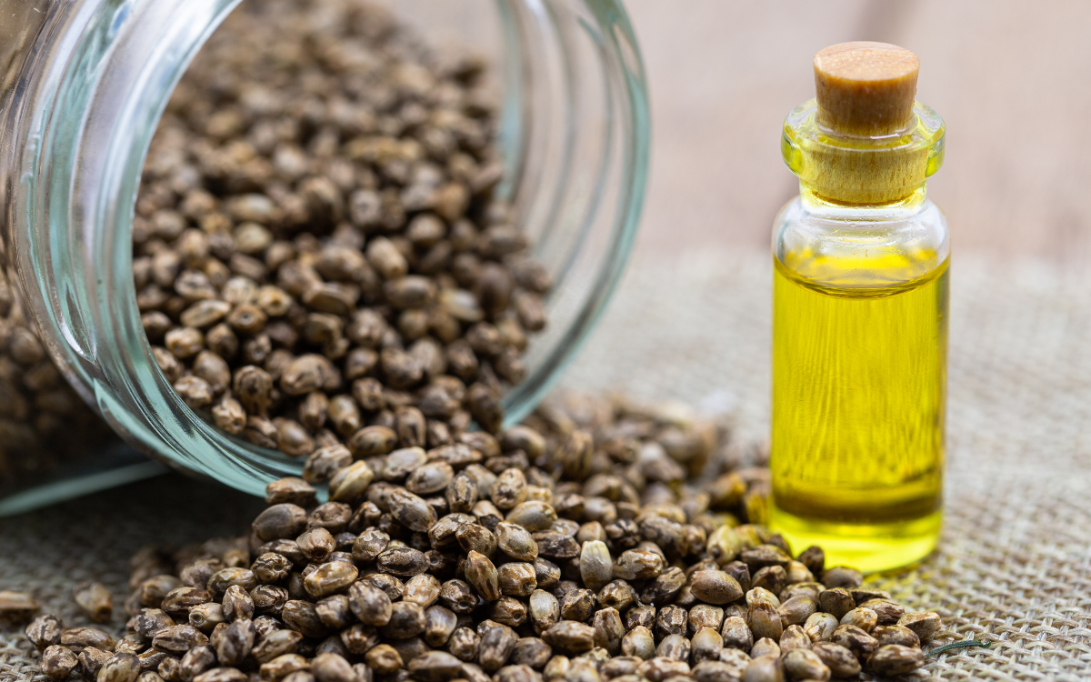 Coltivare con consapevolezza: guida pratica ai semi di qualità