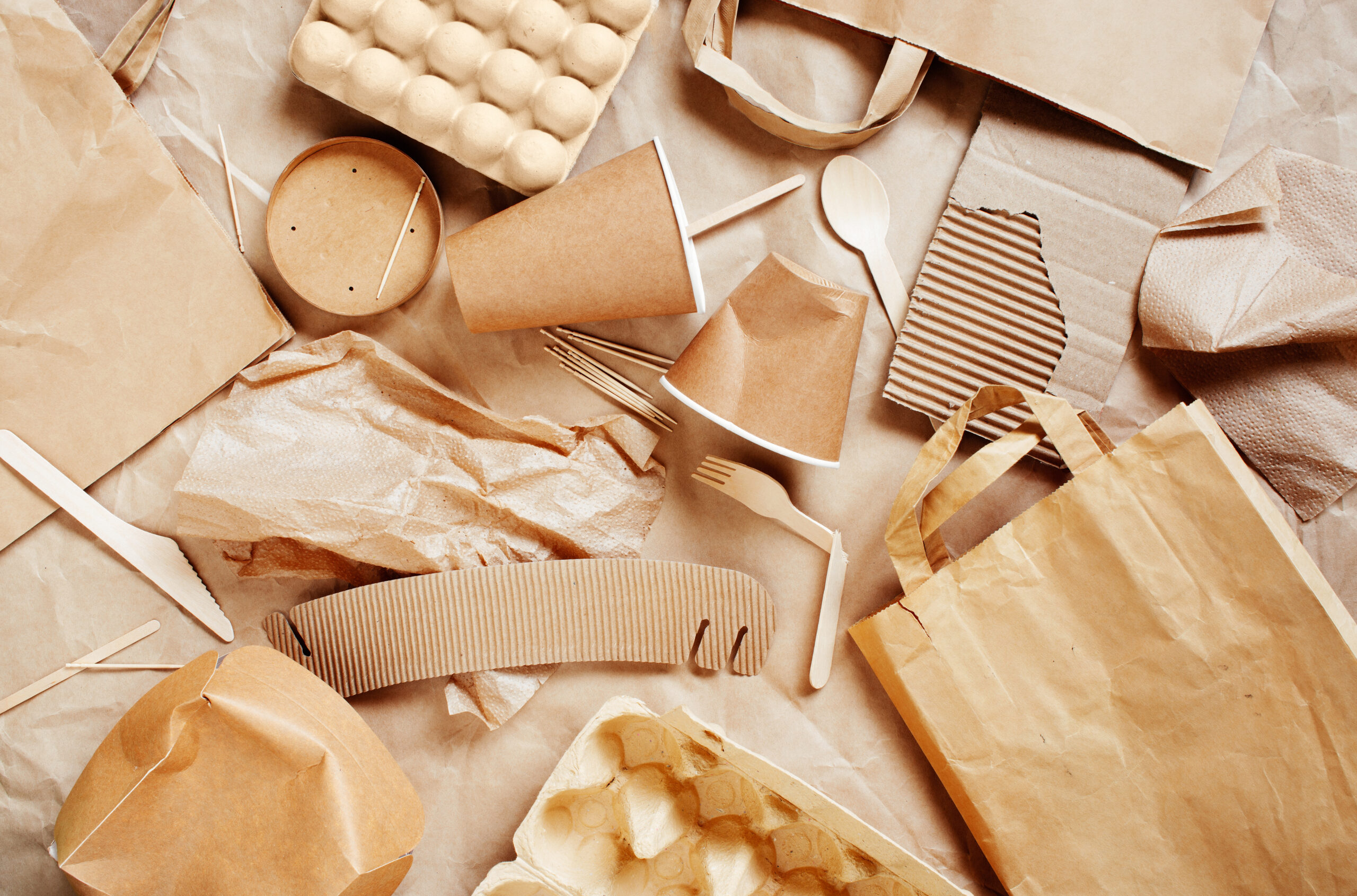 L’analisi di Guadagnopack sul mercato 2026: la rivoluzione green riscrive le regole del packaging alimentare in Italia